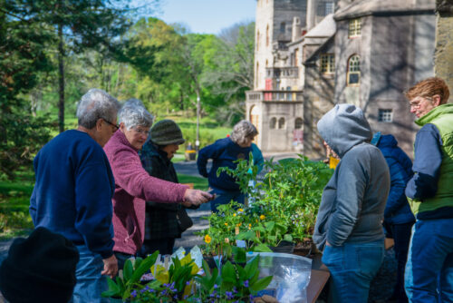 Community Plant Exchange with Doylestown Nature Club